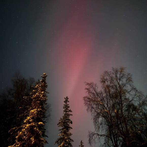 CUSTOM Made To Order Coptic Bound Art Journal. Cloth covered journal. - Picture 8 of 8